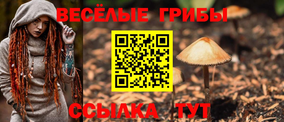 Галлюциногенные грибы Magic Shrooms Рыбинск